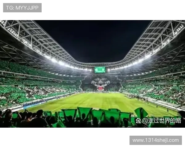 上海海港奋勇拼搏打造亚洲顶级足球劲旅引领中国职业联赛新风貌